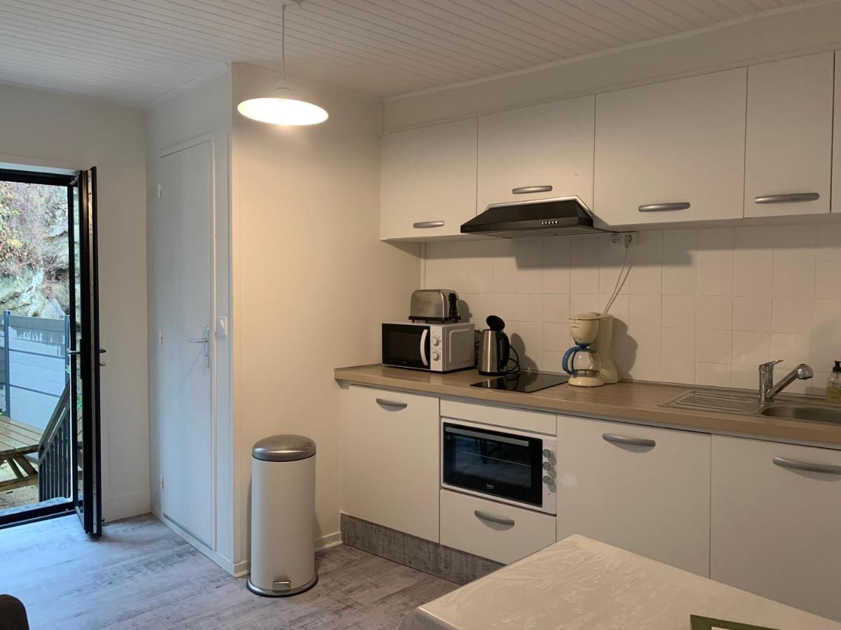 Appartement 4 Personnes, 1 Chambre, Terrasse, Wifi, Proche Du Centre La Bourboule Bagian luar foto